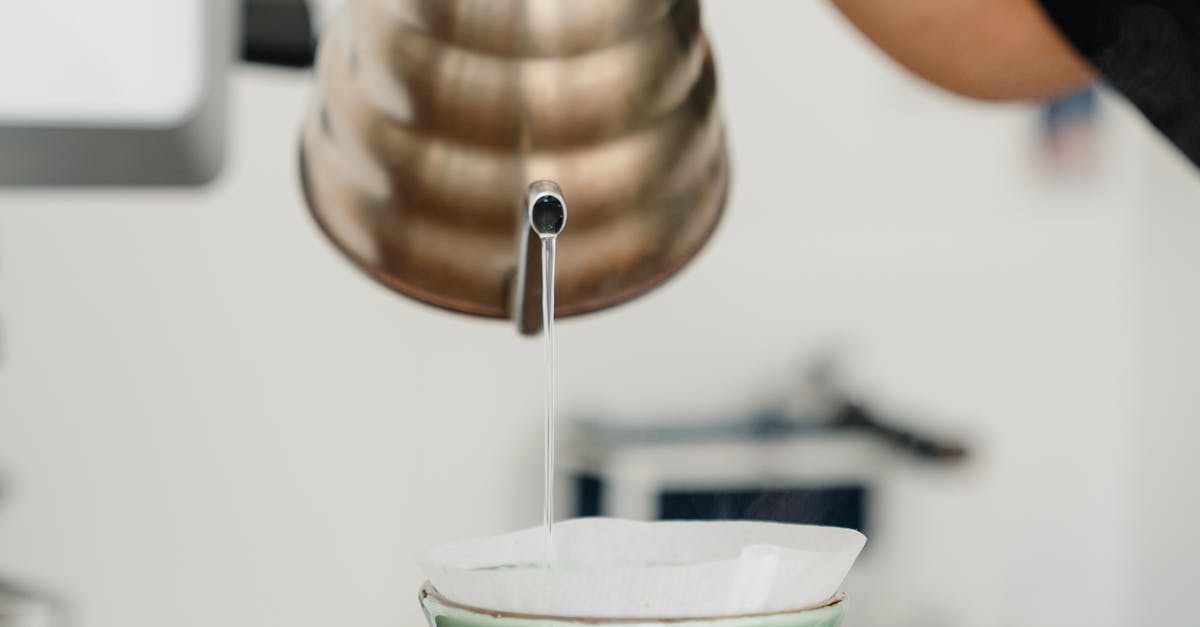 Manly Vale, New South Wales