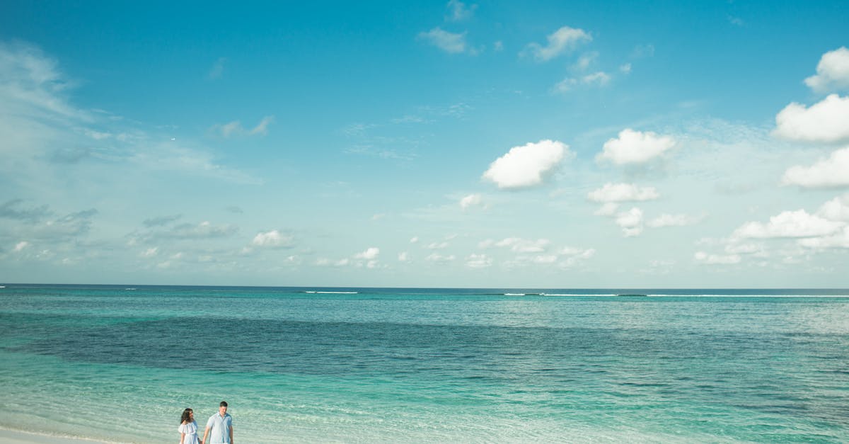 Mayfield, New South Wales